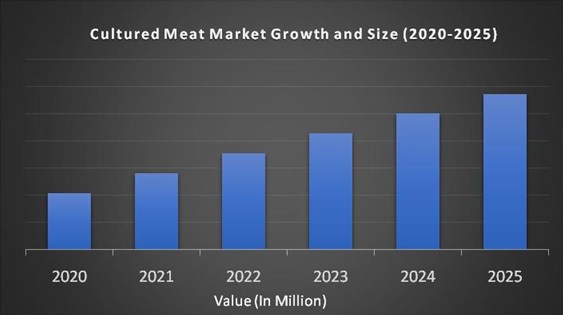 Cultured Meat Market